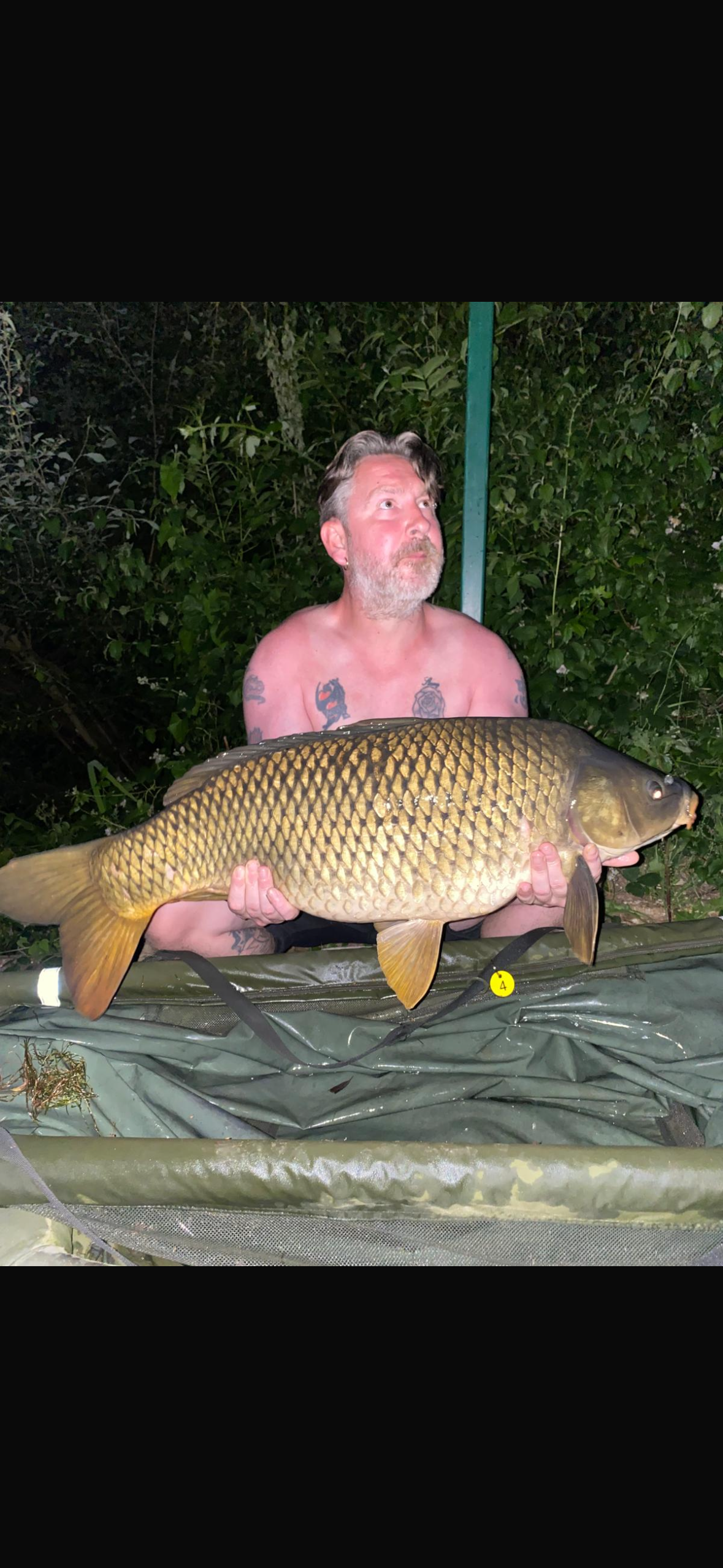 Fish Image