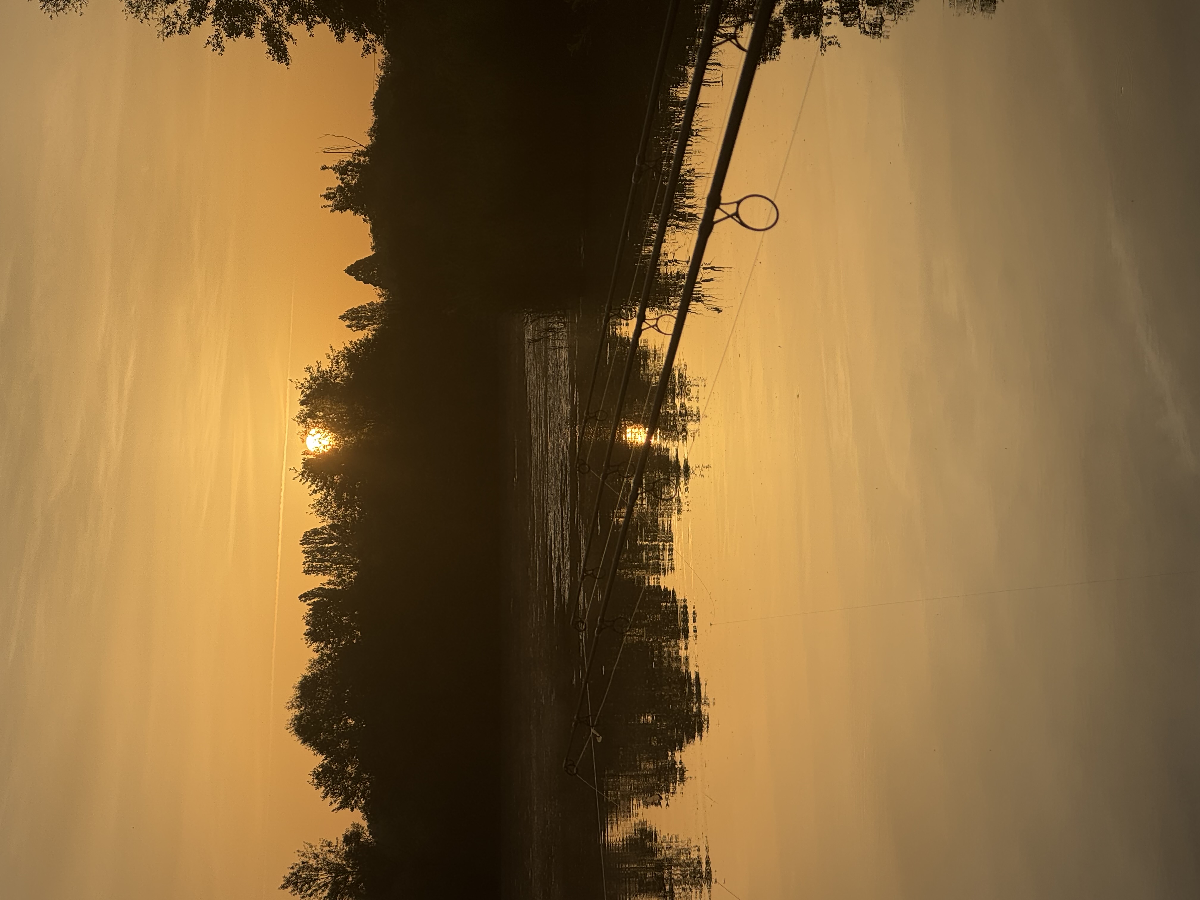Scenery
