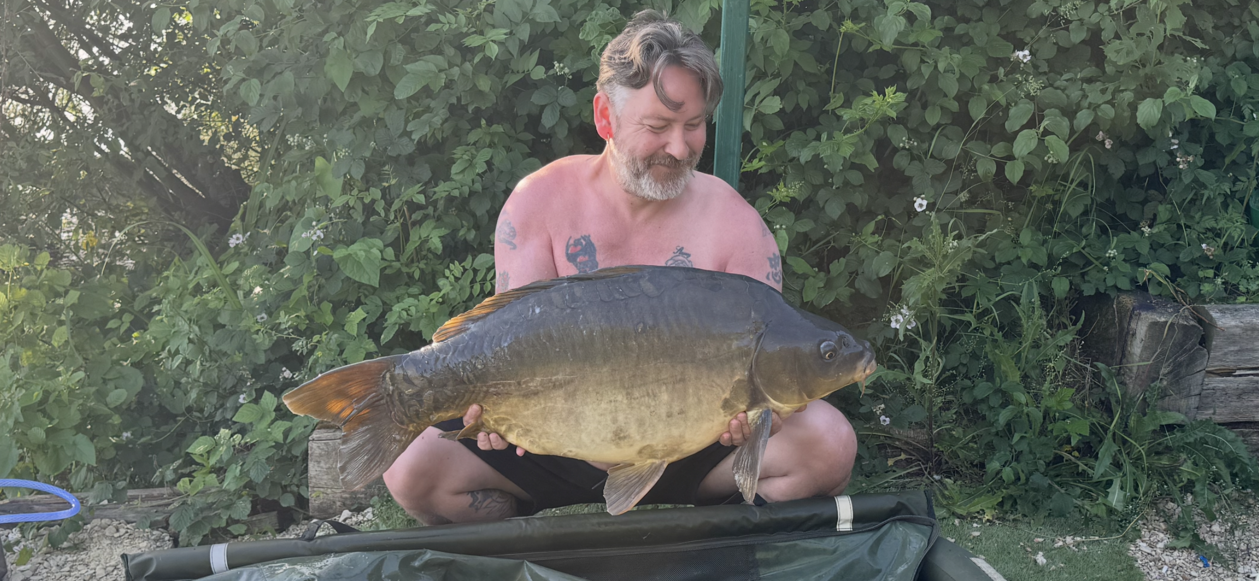 Fish Image