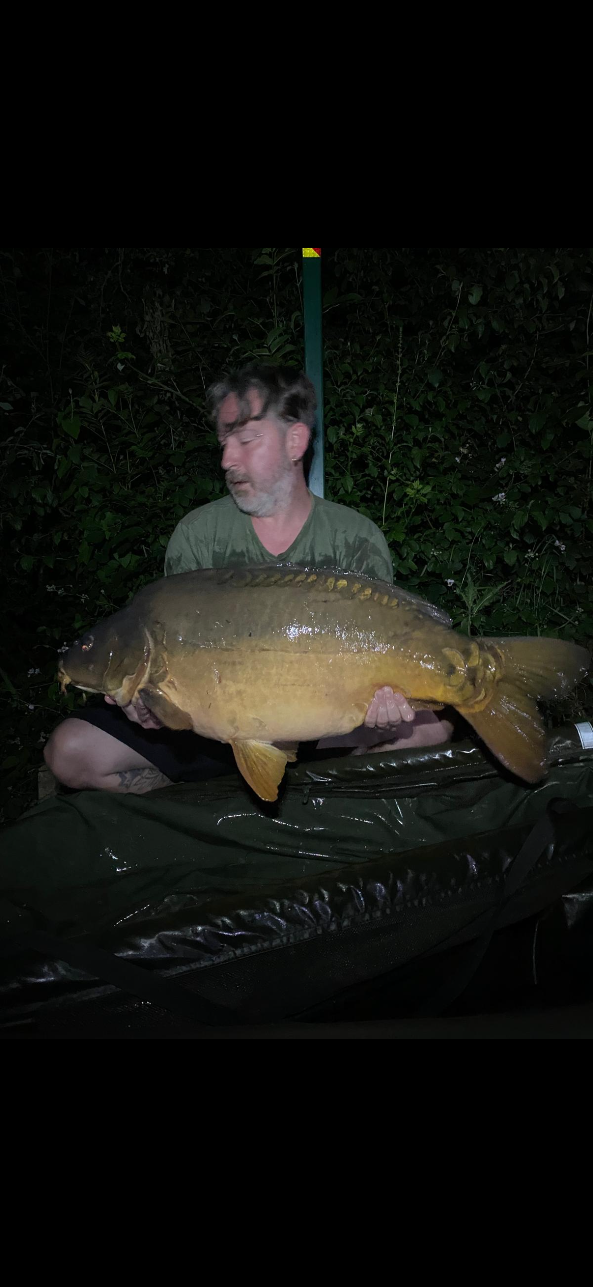 Fish Image