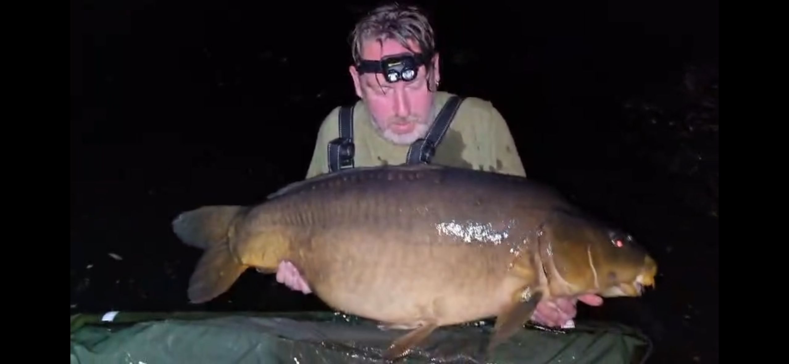 Fish Image